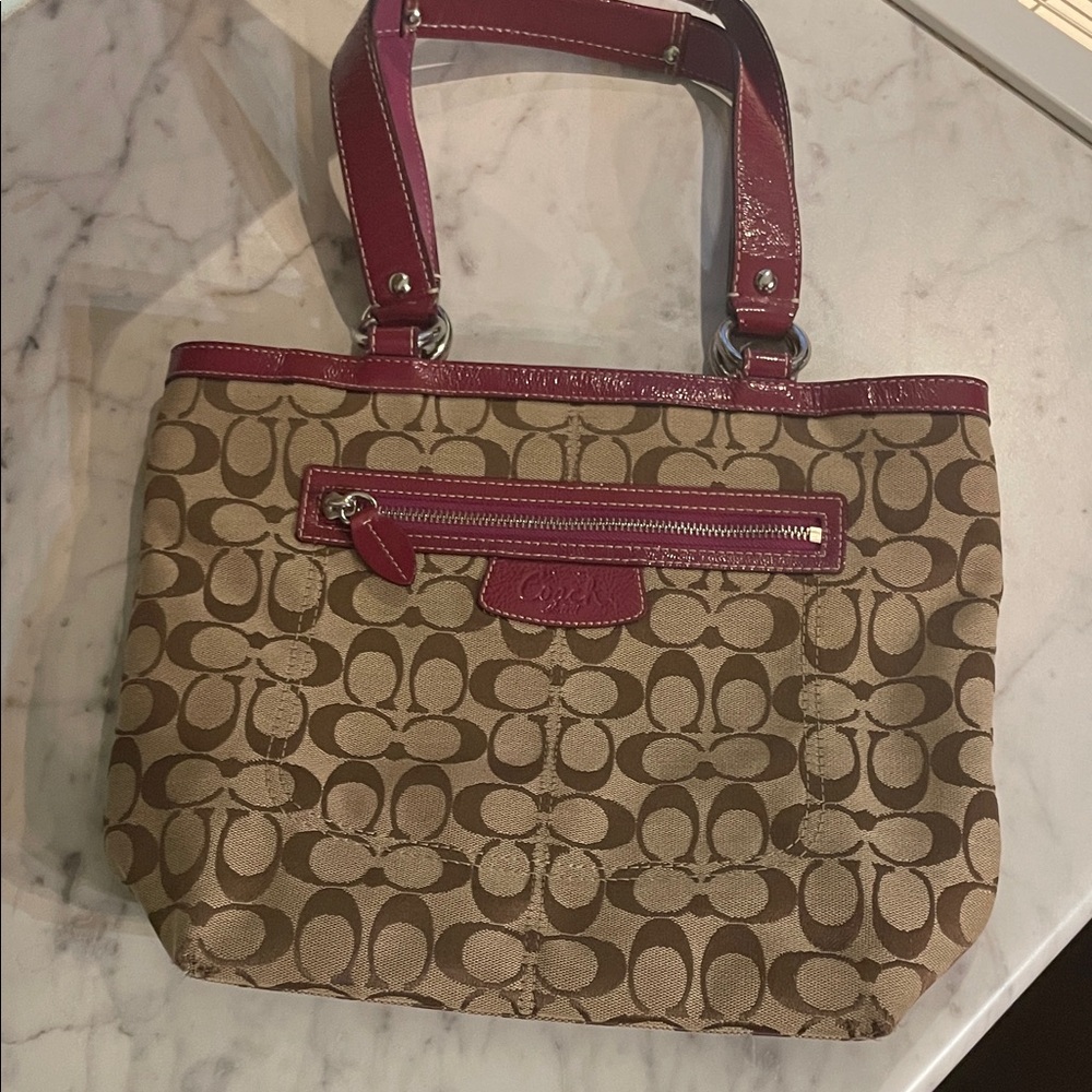 COACH F14693 Penelope Optic Signature Lunch Tote Jacquard Handbag